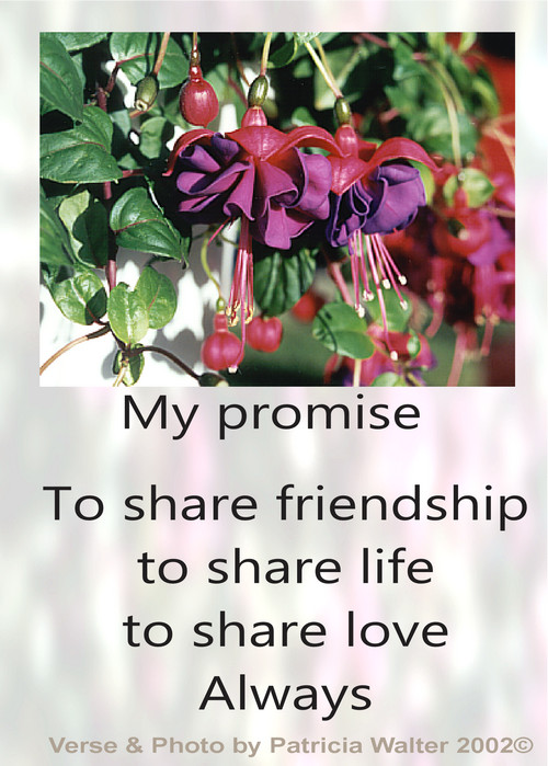 My Promise To share friendship to share life to share love Always Poetry & Art by Patricia Walter 2002 ©