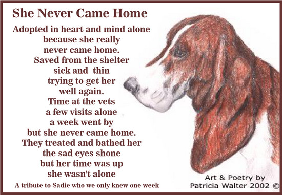 She Never Came Home Adopted in heart and mind alone because she really never came home. Saved from the shelter sick and thin trying to get her well again. Time at the vets a few visits alone a week went by but she never came home. they treated and bathed her the sad eyes shone but her time was up she wasn't alone. Poetry & Art by Patricia Walter 2002 ©