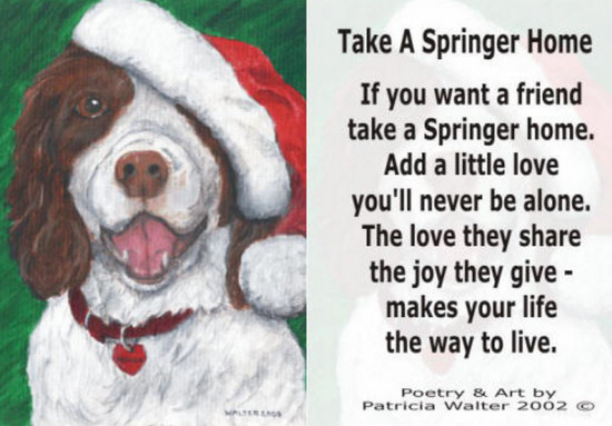 Take A Springer Home If you want a friend take a Springer home. Add a little love you'll never be alone. The love they share they joy they give - makes your life the way to live. Poetry & Art by Patricia Walter 2002 ©