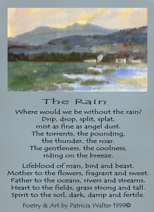 the-rain-poem-1999